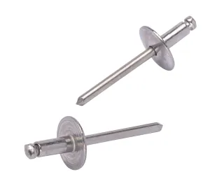 Large Flange Rivets, Stainless Steel, 1/8" x 1/4" Inch, (4-4) (100pc), Gap (0.188-0.250)"