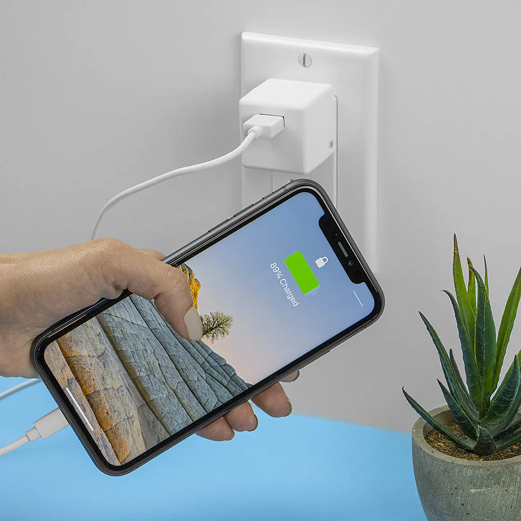 Single Port 1.0A/5W USB-A Home Charger